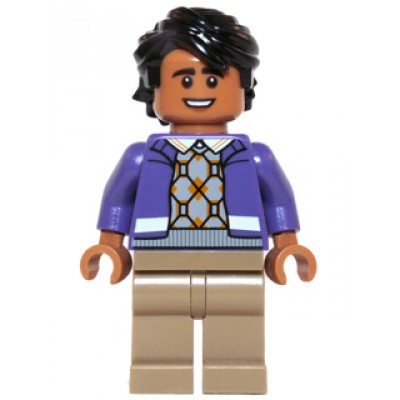LEGO MINIFIG IDEAS LA THEORIE DU BIG BANG Raj Koothrappali 